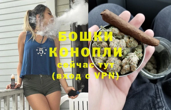 бошки Белокуриха