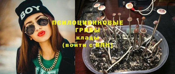 spice Санкт-Петербург