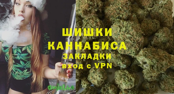 винт Надым